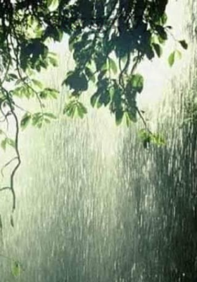 सतरा जून (17)