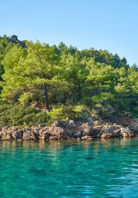 काय झाडी काय डोंगुर