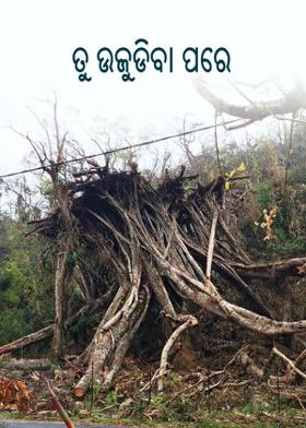 ତୁ ଉଜୁଡ଼ିବା  ପରେ