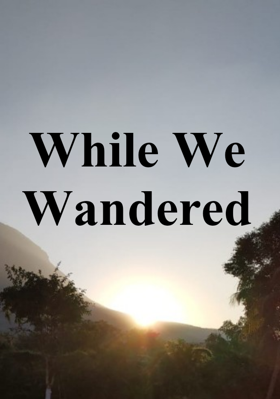 While We Wandered