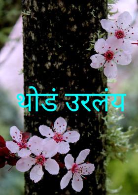 थोडं उरलंय