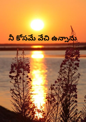 నీ కోసమే వేచి ఉన్నాను