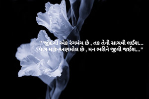 " જીંદગી એક રંગમંચ છે , તક તેની સાચવી લઈશ...
પાત્ર મારું અણમોલ છે , મન ભરીને જીવી જઈશ..."