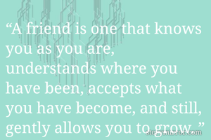 “A friend is one that knows you as you are, understands where you have been, accepts what you have become, and still, gently allows you to grow. ” 
