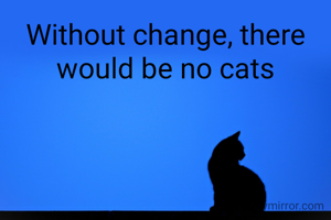 Without change, there would be no cats
