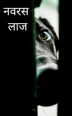 नवरस लाज