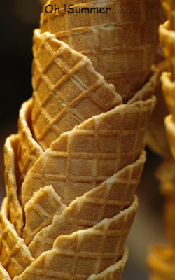 Oh !Summer.........