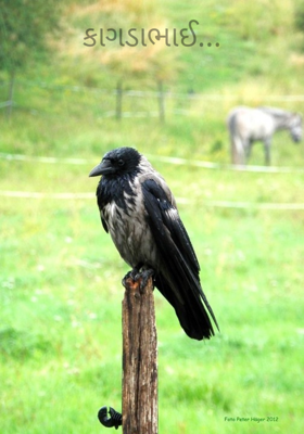 કાગડાભાઈ