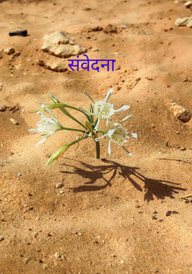 संवेदना