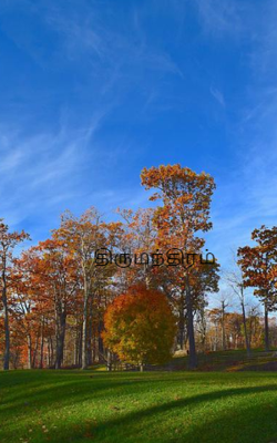 திருமந்திரம்