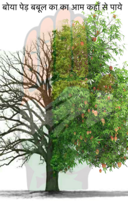 बोया पेड़ बबूल का का आम कहाँ से पाये