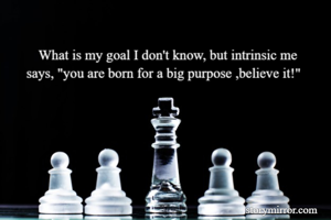 What is my goal I don't know, but intrinsic me 
says, "you are born for a big purpose ,believe it!"