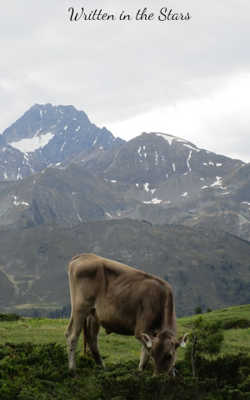 Written in the Stars