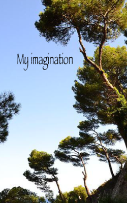 My imagination