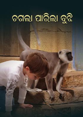 ଚଗଲା ପାରିଲା ବୁଝି