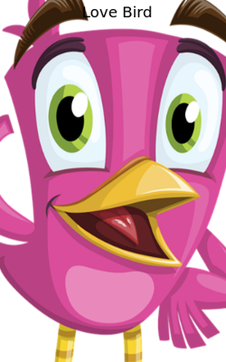 Love Bird