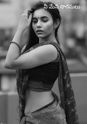 నీ మేని సొగసులు