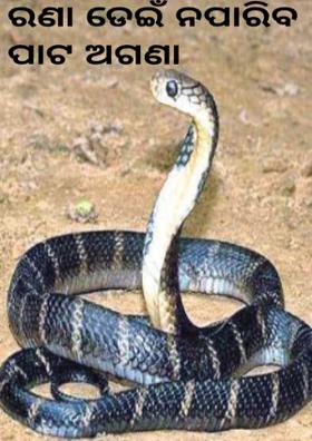 ରଣା ଡେଇଁ ନପାରିବ ପାଟ ଅଗଣା