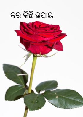 କର କିଛି ଉପାୟ