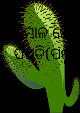 ସମ୍ଭାଳ ଜେଜେ ପଗଡ଼ି