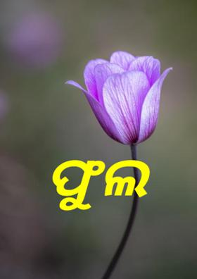 ଫୁଲ