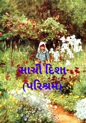 સાચી દિશા