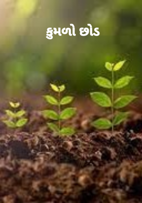 કુમળો છોડ