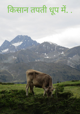 किसान तपती धूप में.