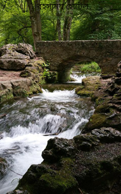 রহস্যময় হোটেল
