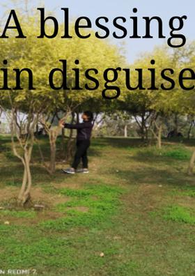 A Blessing In Disguise