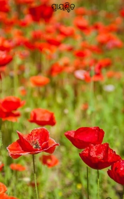 ପ୍ରାୟଶ୍ଚିତ