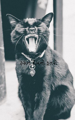 હસન શેખનો કૂતરો