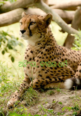 ଅହିଂସା, ବୀରର ଧର୍ମ