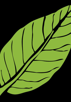 ମୋ ଆଖିର ଲୁହ 