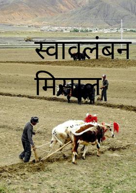 स्वावलंबन की मिसाल