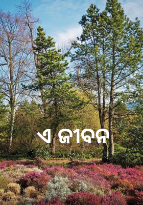 ଏ ଜୀବନ