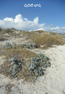 పురిటి భాష