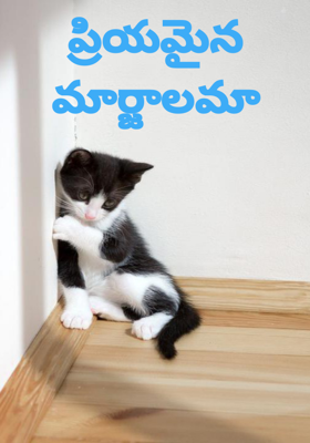 ప్రియమైన మార్జాలమా