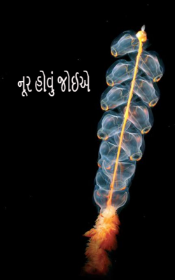 નૂર હોવું જોઈએ