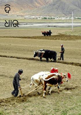 ଦି ଧାର ଲୁହ