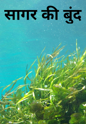 सागर की बूँद