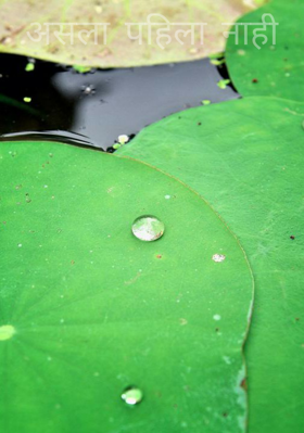 असला पहिला नाही