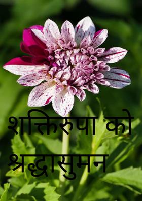 शक्तिरुपा को श्रद्धासुमन