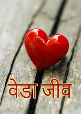 वेडा जीव