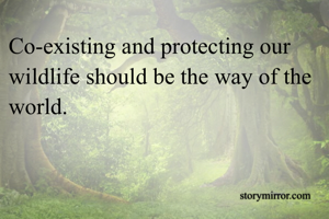 Co-existing and protecting our wildlife should be the way of the world.