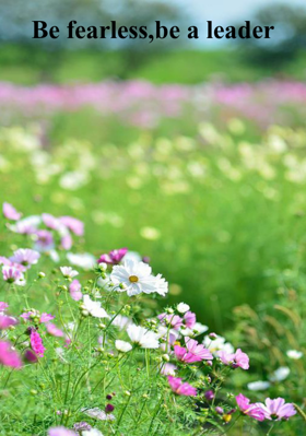 Be Fearless, Be A Leader
