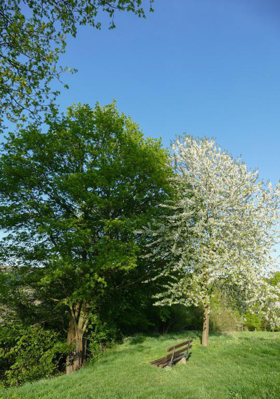 ଏବଂ ଉପସ୍ଥିତି କଣ ?