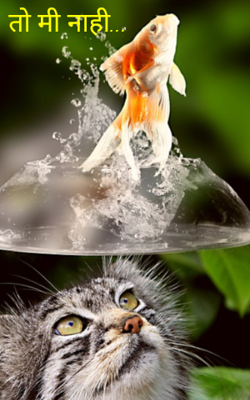 तो मी नाही