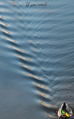 If You Want....