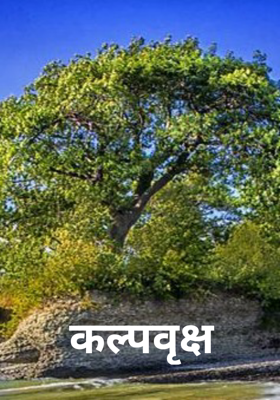 कल्पवृक्ष